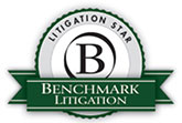 benchmark_litigation_2016