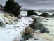 Don Brackett Placitas Arroyo