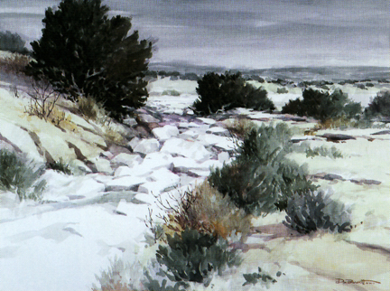 Don Brackett Placitas Arroyo