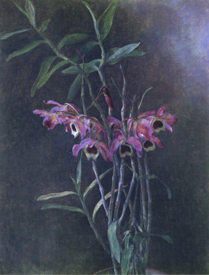 Henriette Wyeth Brazilian Orchids