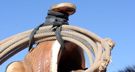 Industry Ranching Agriculture