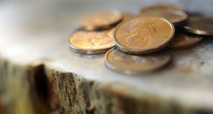 Practice Bankruptcy